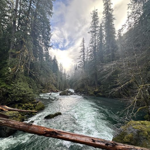 Theresa Summer, LMHC